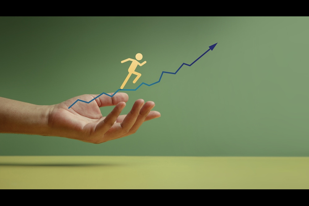 DSF (Digital SMEs Financing)